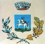 comune san martino dagri